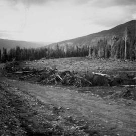 Land clearance between Monashee Pass and Lumby