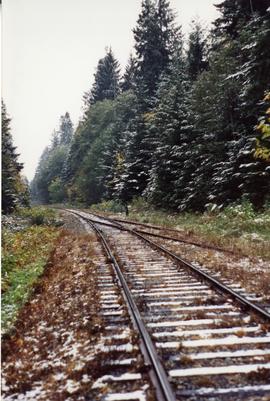 Esquimalt & Nanaimo Railway spur, Buckley Bay