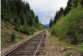 Trackage near Manning Park