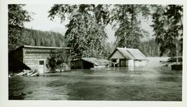 Flooded buildings at the Pacific Station on the Skeena River